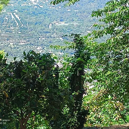 Grand At Don Quijote 샬레 *